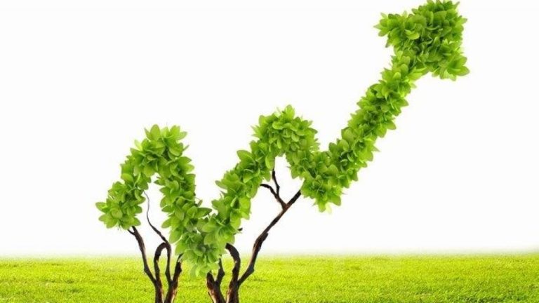 economie-verte-investir patrimoine conseils investissement